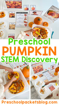 On the hunt for pumpkin themed activities to keep your preschool learners busy this fall? This week, we're all about pumpkins. We're going to explore all the parts of the pumpkin with a pumpkin discovery STEM center and talk about how to teach your preschool students about the life cycle of a pumpkin!