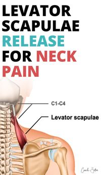 Levator Scapulae Release for instant neck pain. Neck tightness can cause pain not just in the neck but the upper back and shoulders too. Learn how to effectively release this muscle and exercises to do for neck pain to avoid it