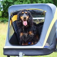 Do dogs like to ride in strollers