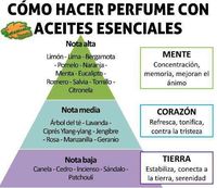 como hacer perfume con aceites esenciales segun concepto de aromaterapia y normas