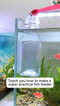 Make fish feeder Tips for your gardening . . . . . Credits: @gardening.soul66 #gardening #gardeningisfun #gardeningaustralia #gardeninglife #gardeningtips #gardeningmakesmehappy #gardeninglove #gardeningwithkids #gardening101 #gardeningday #gardeningislife #gardeningtime #gardeningfun #gardeningknowhow #gardeningphoto #gardeninginspiration #GardeningIdeas #gardeningproblems #gardeninggoals #gardeningtherapy #gardeningleave #gardeninginarizona #gardeningishealing #gardeningisgoodforthesoul ...