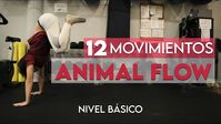 12 Movimientos básicos de ANIMAL FLOW