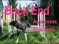 ▶ 22 Rear End Awareness Exercises for Dogs in Agility, Freestyle, Rally Obedience etc. - YouTube