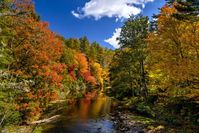 The Breathtaking Tennessee Hike That Glows Gold Once A Year