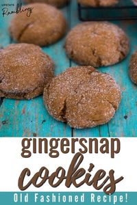 Gingersnap Cookies - Traditional Christmas cookies made with molasses and rolled in sugar - a holiday tradition!