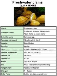 Quick Notes about Freshwater clams (Corbicula spp.) water parameters