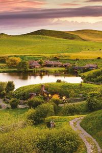 Hobbiton Tours, A Public Tour in New Zealand of the Real Hobbit Village From the ‘Lord of the Rings’ & ‘Hobbit’ Films