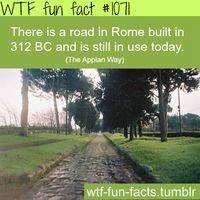 MORE OF WTF-FUN-FACTS are coming HERE funny and weird facts ONLY