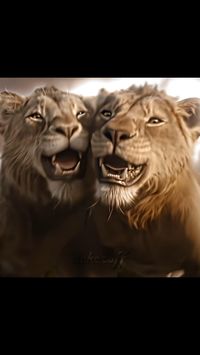 How Mufasa And Taka became Brothers (from Mufasa: The Lion King) Edit