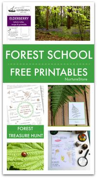 Free Printables for Forest School - easy forest school activities