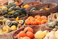 The Modern Farmer Guide to Winter Squash Varieties - Modern Farmer