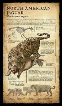 Prehistoric Animals - Imgur