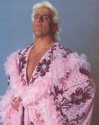 Top 20 Most Awesome Old School Wrestling Outfits | Bleacher Report | Latest News, Videos and Highlights