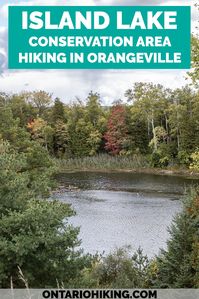 Island Lake Conservation Area is a beautiful hike around a vast lake featuring lush forests, lengthy boardwalks, and expansive bridges. You'll be able to spot lots of birds and wildlife. It's one of the best hikes in Orangeville and the entire region. Orangeville hiking | Hiking in Orangeville | Hiking trails in Orangeville | Ontario Hiking | Hiking in Ontario | Best fall hiking in Ontario | Fall hiking trails in Ontario | Ontario Fall Hiking | Fall colours in Ontario | Hiking for fall colors