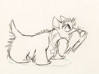 Jock from Lady and the Tramp