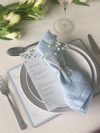 Simple blue napkin light blue