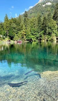 #swiss #switzerland #schweiz #suíça #swisslake #blausee