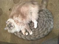 CommeDesMoutons Super Chunky Crochet Cat Mat Bed Product Review https://www.floppycats.com/commedesmoutons-super-chunky-crochet-cat-mat-bed-product-review.html