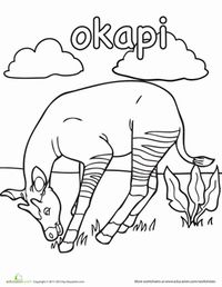 First Grade Animals Worksheets: Okapi Coloring Page