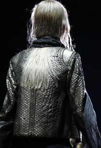 Roberto Cavalli coat for Brienne