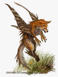 dracopedia images | Dracopedia:The Bestiary