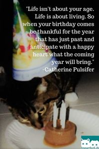 monday inspiration senior pet month #impurrfectlife #seniorpetmonth #november #inspirationalquotes