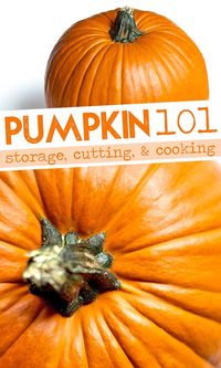 Everything you need to know about everyone's favorite fall squash…pumpkins! Different varieties, storage tips, and nutritional info for pumpkin!