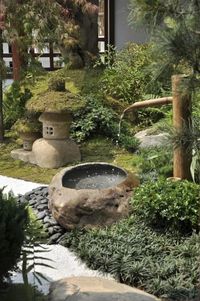 a beautiful Japanese garden at the entrance,w ith rocks as steps, potted greenery, a stone lantern and some trees and leaves