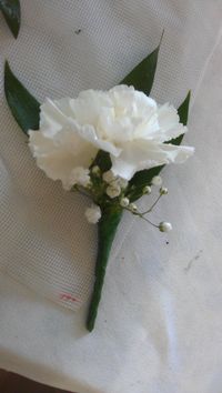 Carnation, soft ruscus and Gyp buttonhole