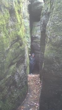 Rock City Park, Olean NY world's largest exposure of quartz conglomerate