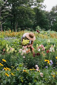 Picking flowers in an English Style Cottage Garden!