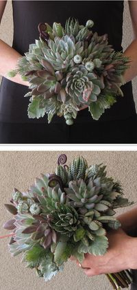 succulent bouquet by floral verde