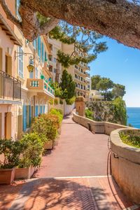 Monaco est une cité-État située au bord de la mer Méditerranée, le long de la riviera française. Elle est connue pour attirer la jet-set du monde entier, mais aussi pour son casino, ses hôtels et son Grand Prix de Formule 1.  #monaco #F1 #europeansummer #aesthetic #paysagenaturel