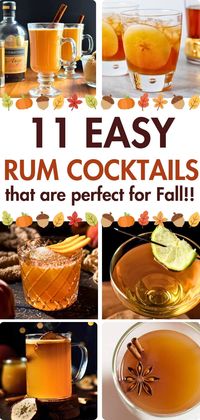 These Fall Rum Cocktails are all easy fall cocktail recipes that are perfect for autumn. You’ll find recipes using spiced rum and dark rum for cozy fall-inspired spiced cocktails that you’ll want to make again and again all season long!