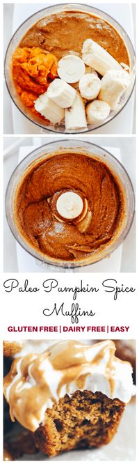 Gluten Free Paleo Pumpkin Protein Muffins - Paleo Gluten Free