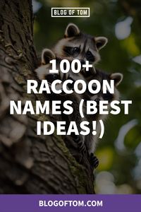 Discover a whole new world of creativity with our blog post on Raccoon Names. Venture into quirky, cute, and unique name ideas perfect for your furry friends! Don't let your pet novelty go unnamed. Click and dive into a rich array of inspirations. Follow us for more engaging ideas!