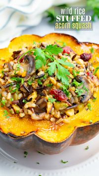 Wild Rice Stuffed Acorn Squash | Where You Get Your Protein - Vegan Recipes