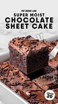 This crowd pleasing chocolate cake is moist, rich, and so easy to make. The frosting is silky smooth and it's perfect for feeding a crowd at your next get together!