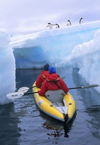 Kayaking with Killer Whales and Penguins in Antarctica...