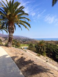 Pepperdine University in Malibu Beach