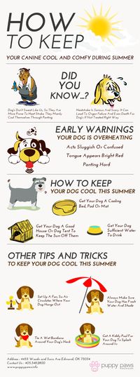 #Dogs are often prone to heat stroke and hence it is essential to keep them cool during summer. Puppy Paws Salon and Spa, #dogsitting in Oklahoma City, shares some effective tips to keep your dog cool and comfy during summer.