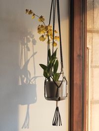 Phanta Plant Hanger - HAY