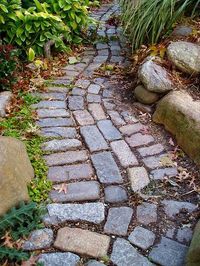 Stone Garden Path