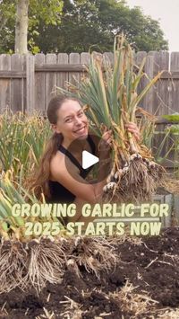 Breanna Ellis on Instagram: "MORE ABOUT GARLIC ⬇️ - If you’re in the northern hemisphere the time to be planting garlic is coming very soon depending on where you are at!  - My most asked question is where do I order my seed garlic from? @madrivergarlicgrowers is the only place I’ve ordered seed garlic from and used them every year Ive grown garlic. Highly suggest them.( I used my own one year )  - Ive planted mostly hardneck garlic over the years. Hardneck and soft neck are simply the stems of the garlic. Hardneck is more advised for cooler winters. This last year I also added softenck into the mix and I had a great harvest of it and its storing great! Softneck tends to store a lot longer then hardneck, but hardneck has a lot better of a flavor in my experience and I highly suggest growin