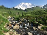 These 7 Western Washington hiking trails made me fall in love with hiking | The Seattle Times