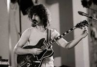 Zappa guitar