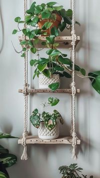 Plant Shelf Design Ideas - Remodr