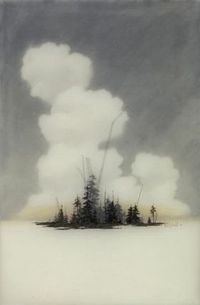 brooks salzwedel | wood s lot ::: "the fitful tracing of a portal"