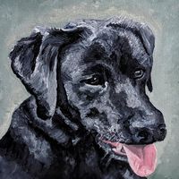 here's a black lab I painted with acrylic paints on canvas.  his name is Campbell. dog portraits are fun to paint! do you like painting dogs too?
#paintings #art #acryliconcanvas #acrylics #customart #pets  #bespokeart #dogportraits #portraits #labradors #petportraits