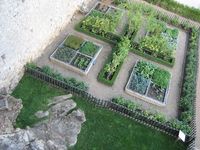 Jardin potager du château de Castelnaud - see the typical use of low boxwood hedges